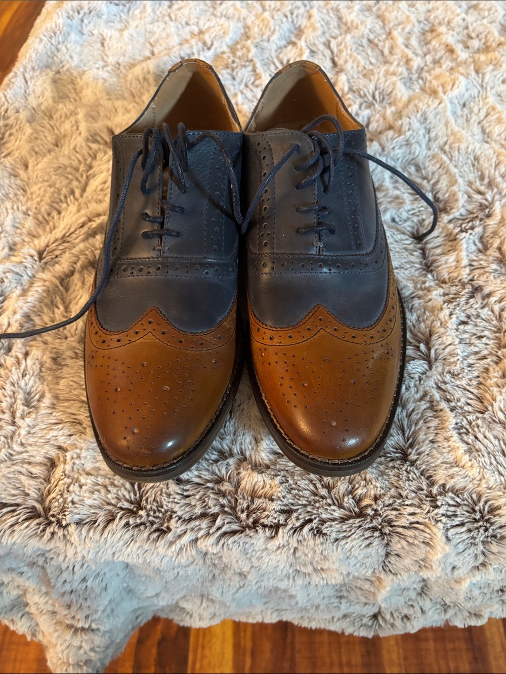 Steve Madden Navy and Brown Two-Tone Brogue Derby Shoes